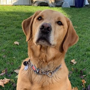 Meet your Posher, Marissa